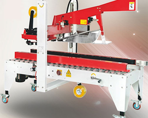 lined carton packing machine